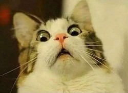 コンサルティング と 研修